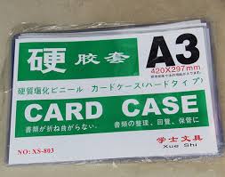 A3