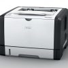 SP310DN